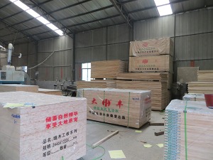 公司介绍